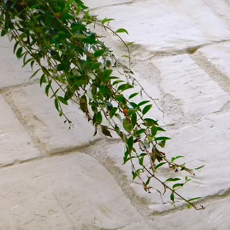 Bed & Breakfast Alvino And Breakfast Lecce