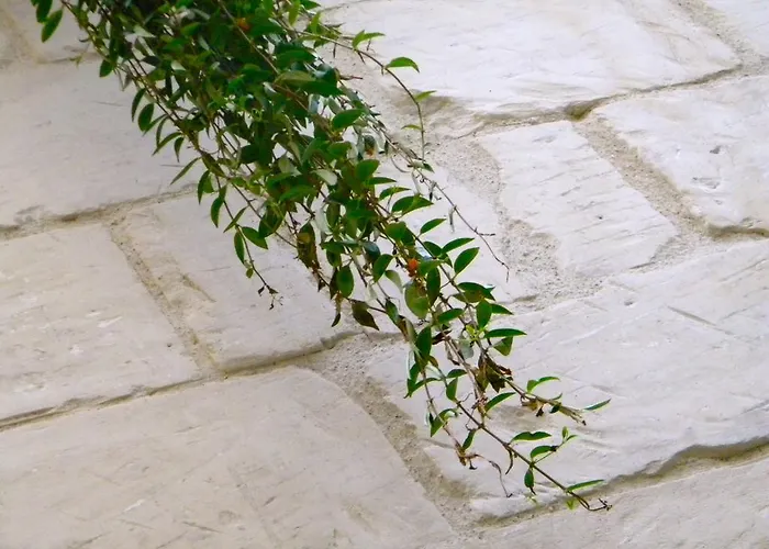 فندق مبيت وإفطار Alvino And Breakfast ليتشي